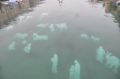 lake garda, italy-14